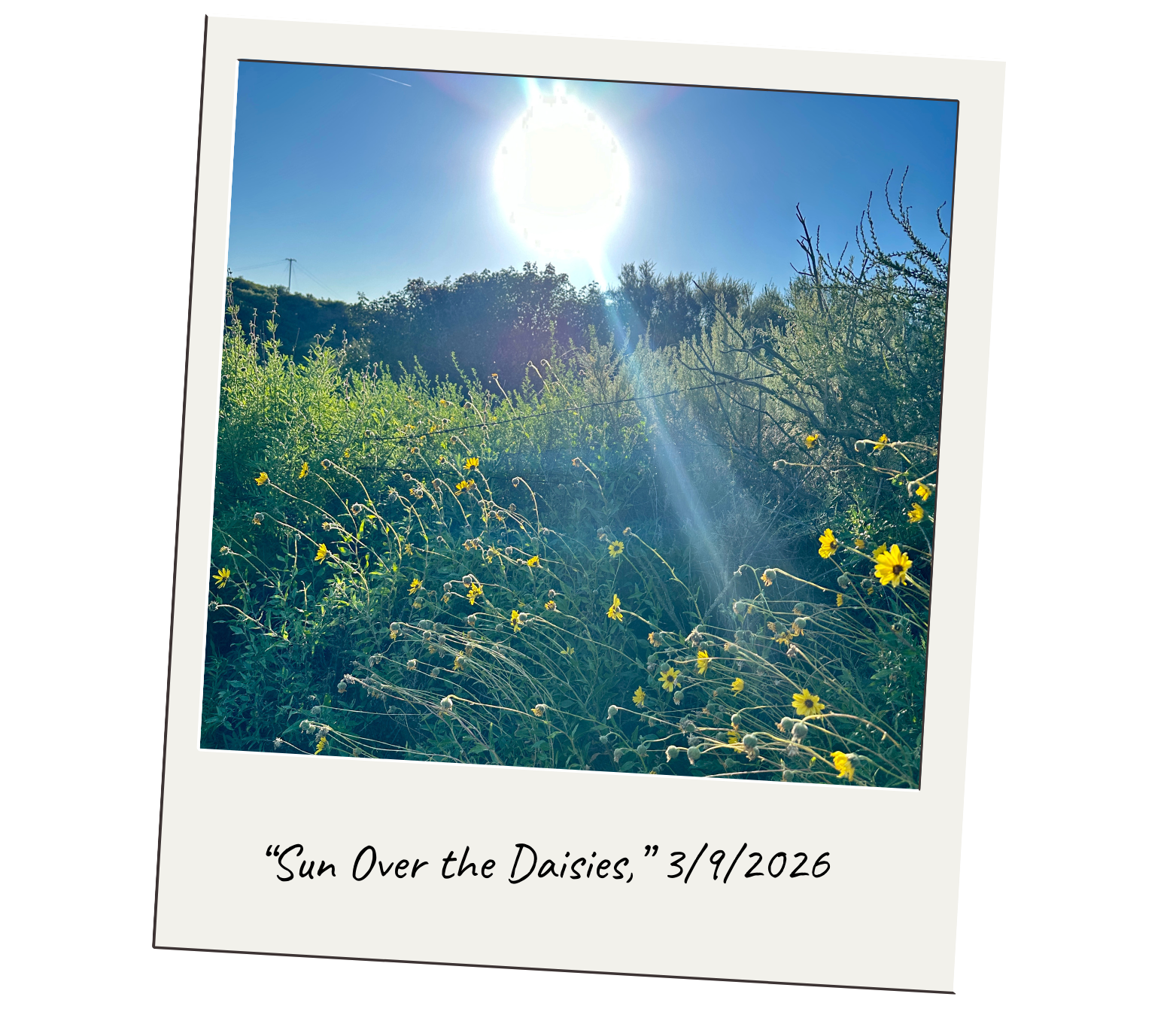 The Lengthening Light