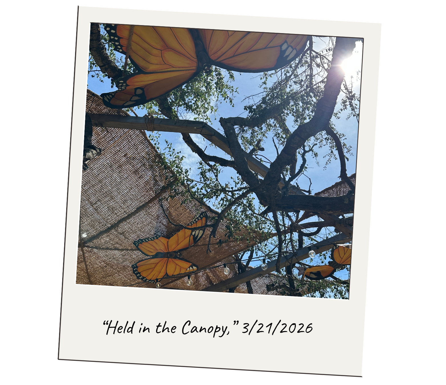 Where the Sound Carries