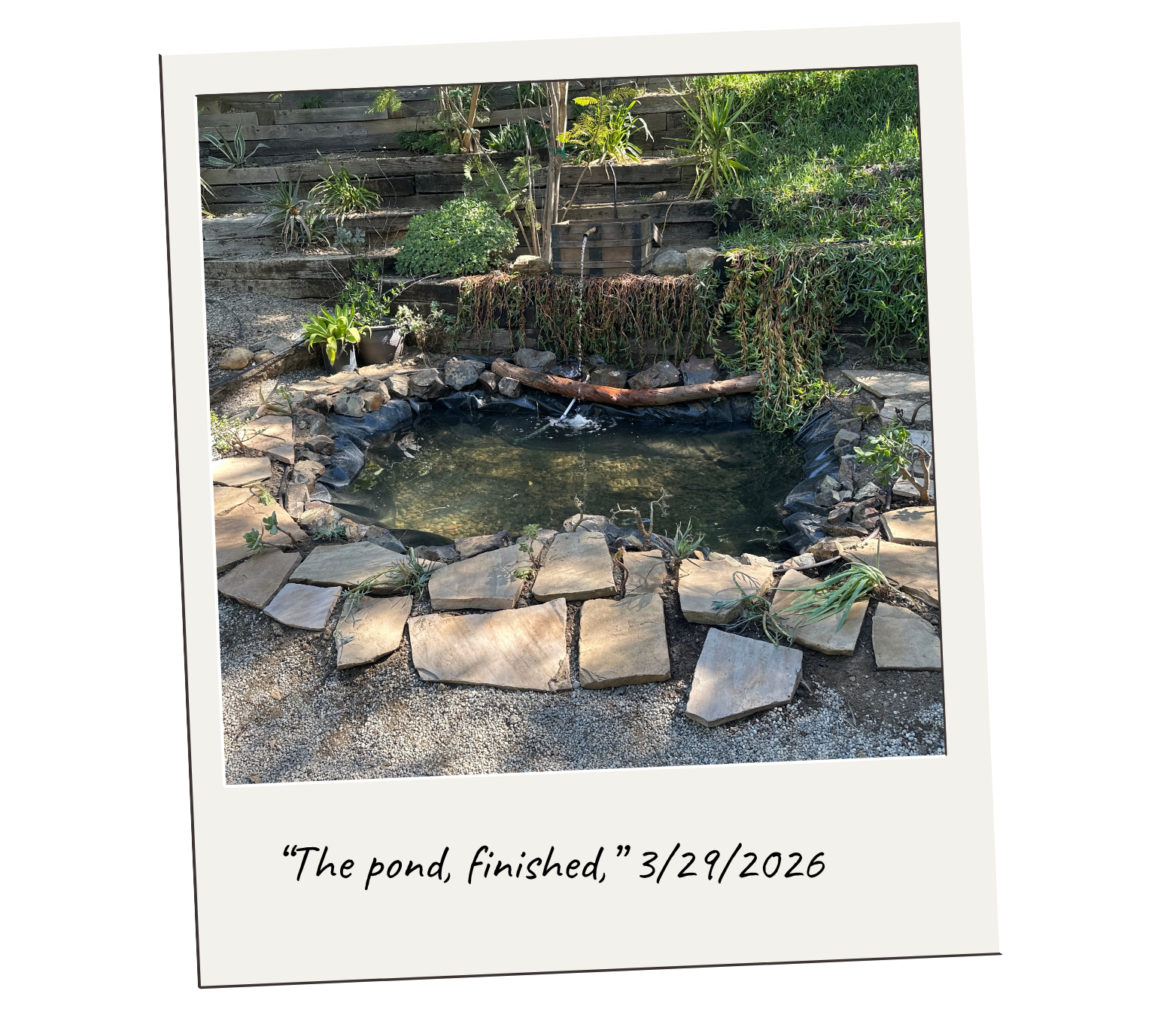 A Corner Comes to Life