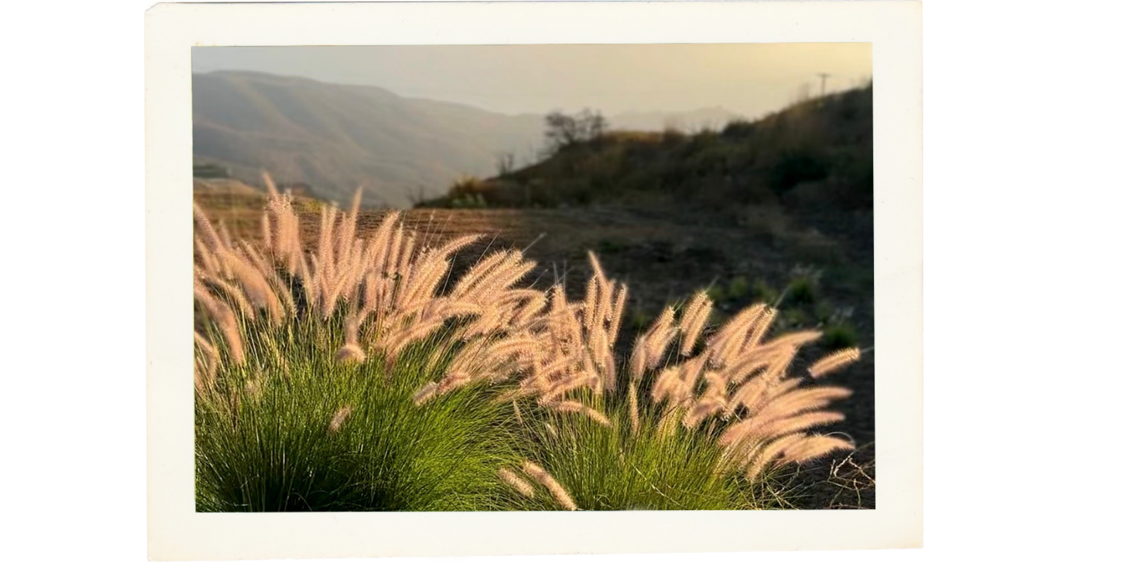 Letting things take their shape