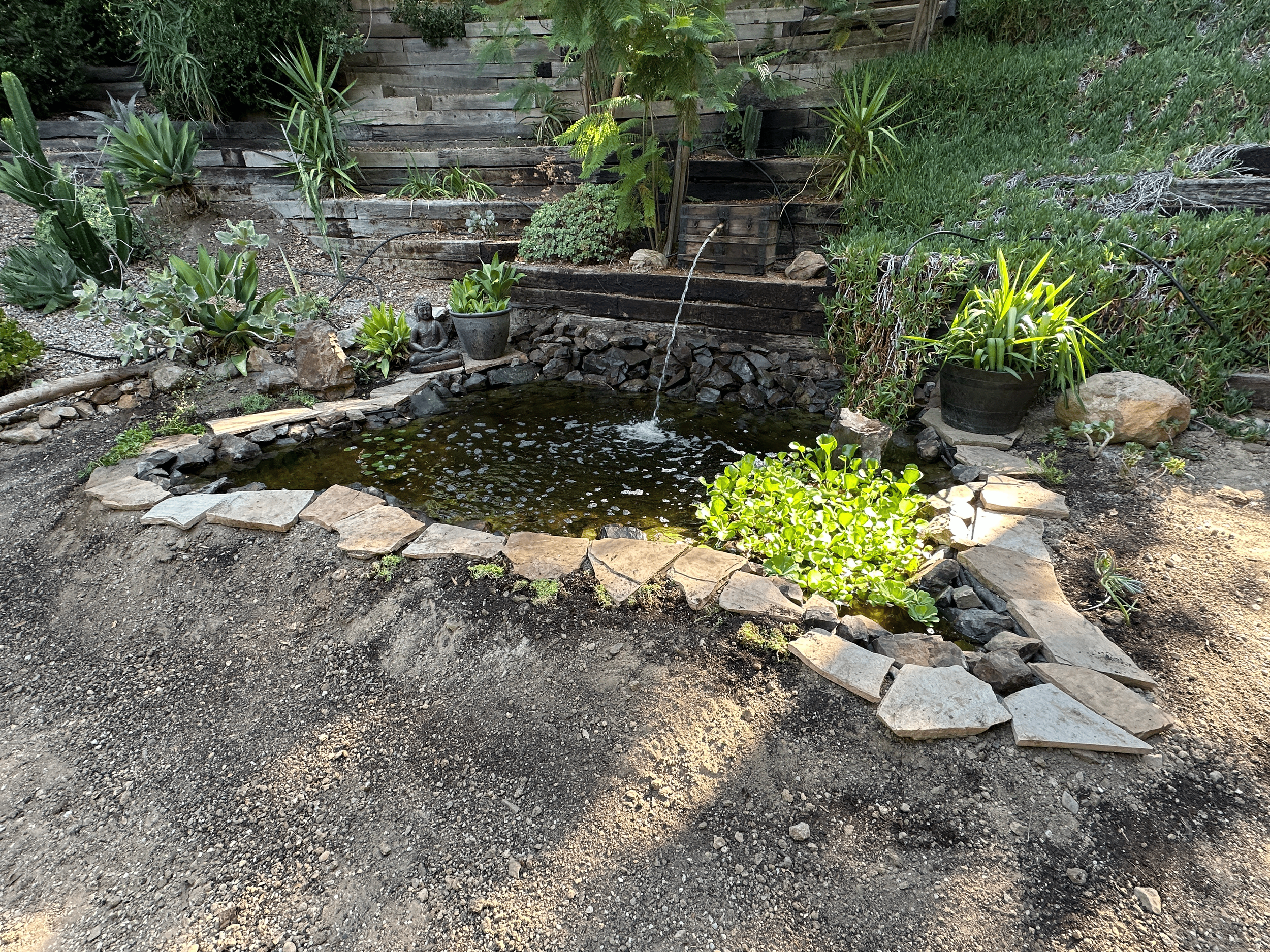 The Pond that Finally Belonged