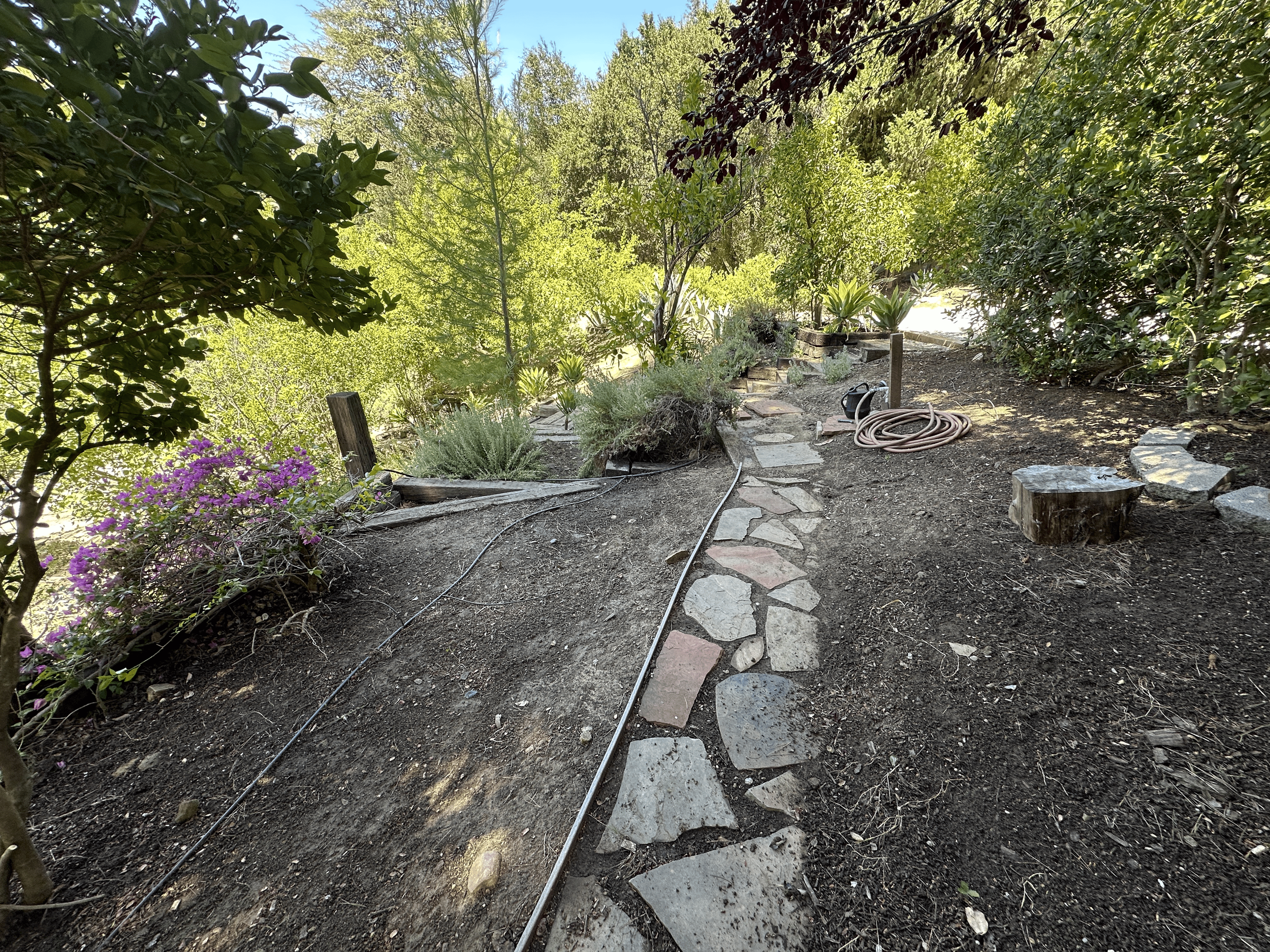 Clearing the Orchard Path