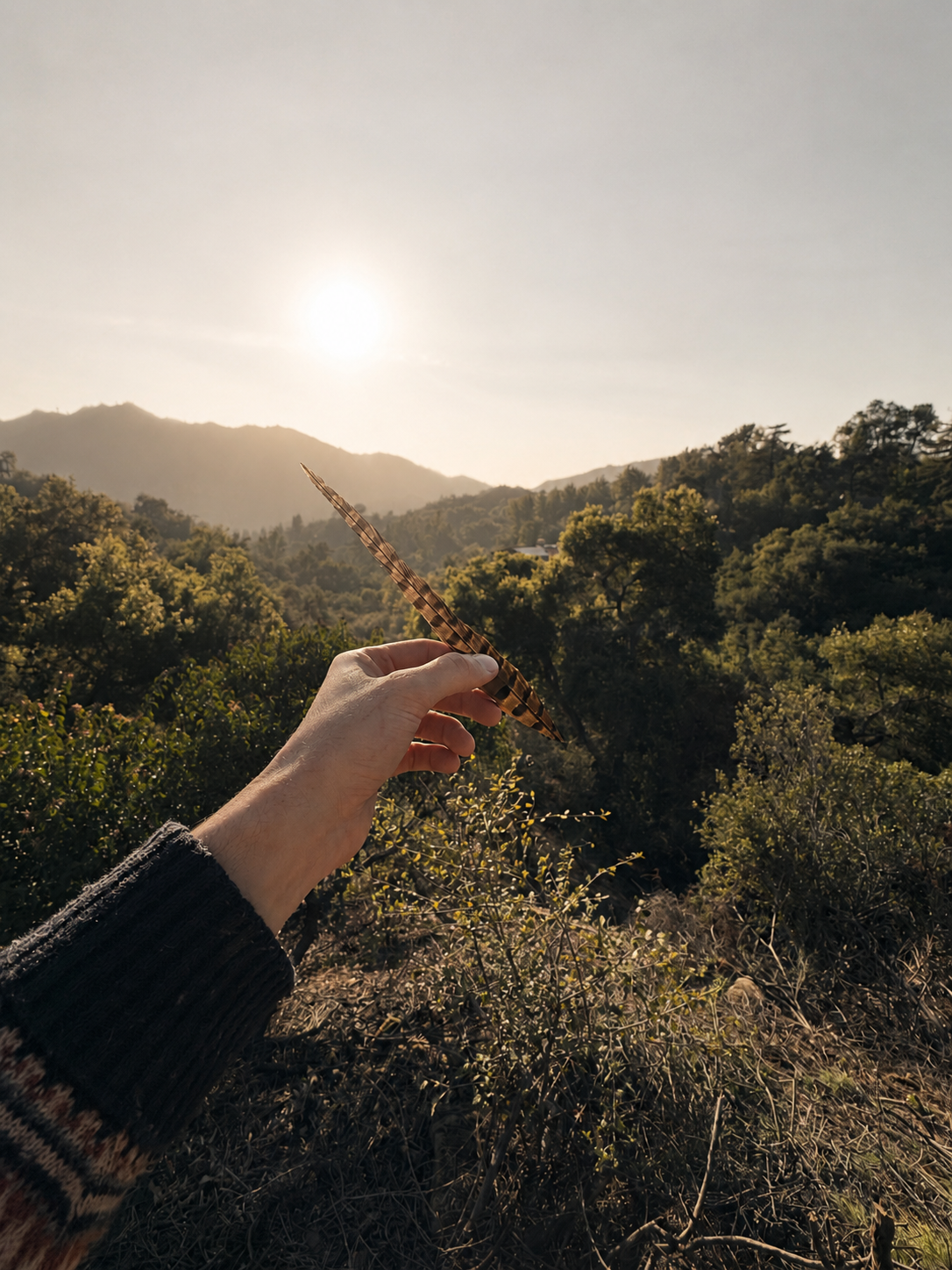Hand holding a feather over Topanga Canyon