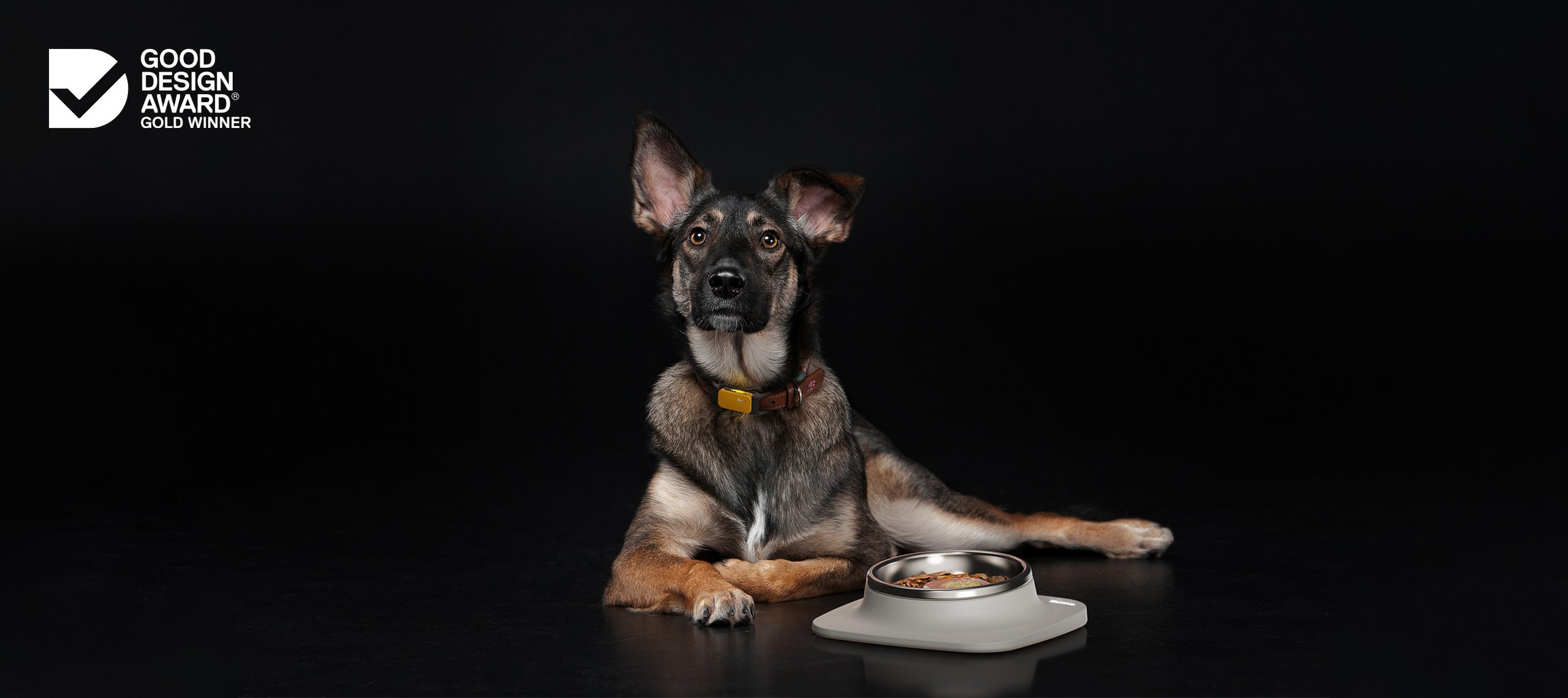 Ilume Dog Health + Wellbeing Technology Suite - Tracker and Smart Bowl - Good Design Gold Award 2022.jpg