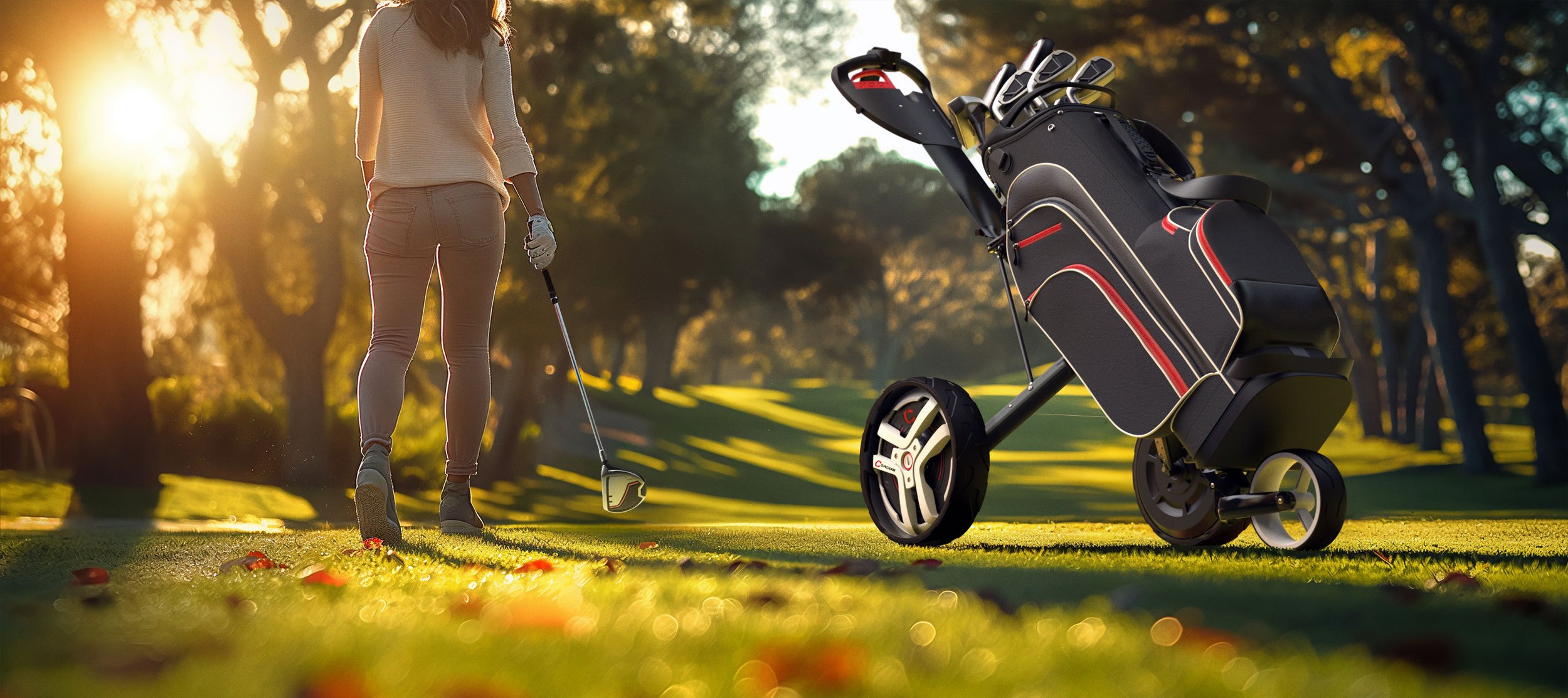 Concourse Smart Wheels - Self-propelled, self-contained electric robotic wheels