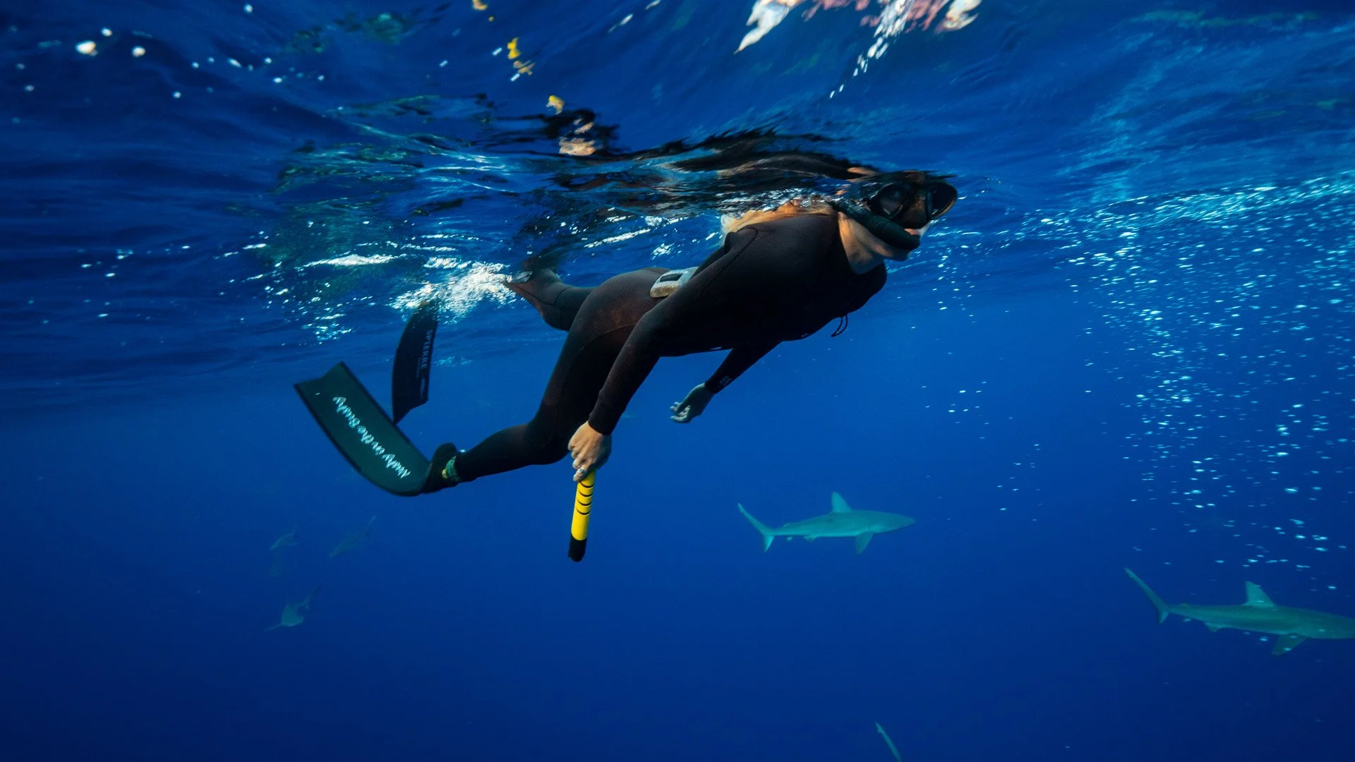 Snorkeling with sharks_4.jpg