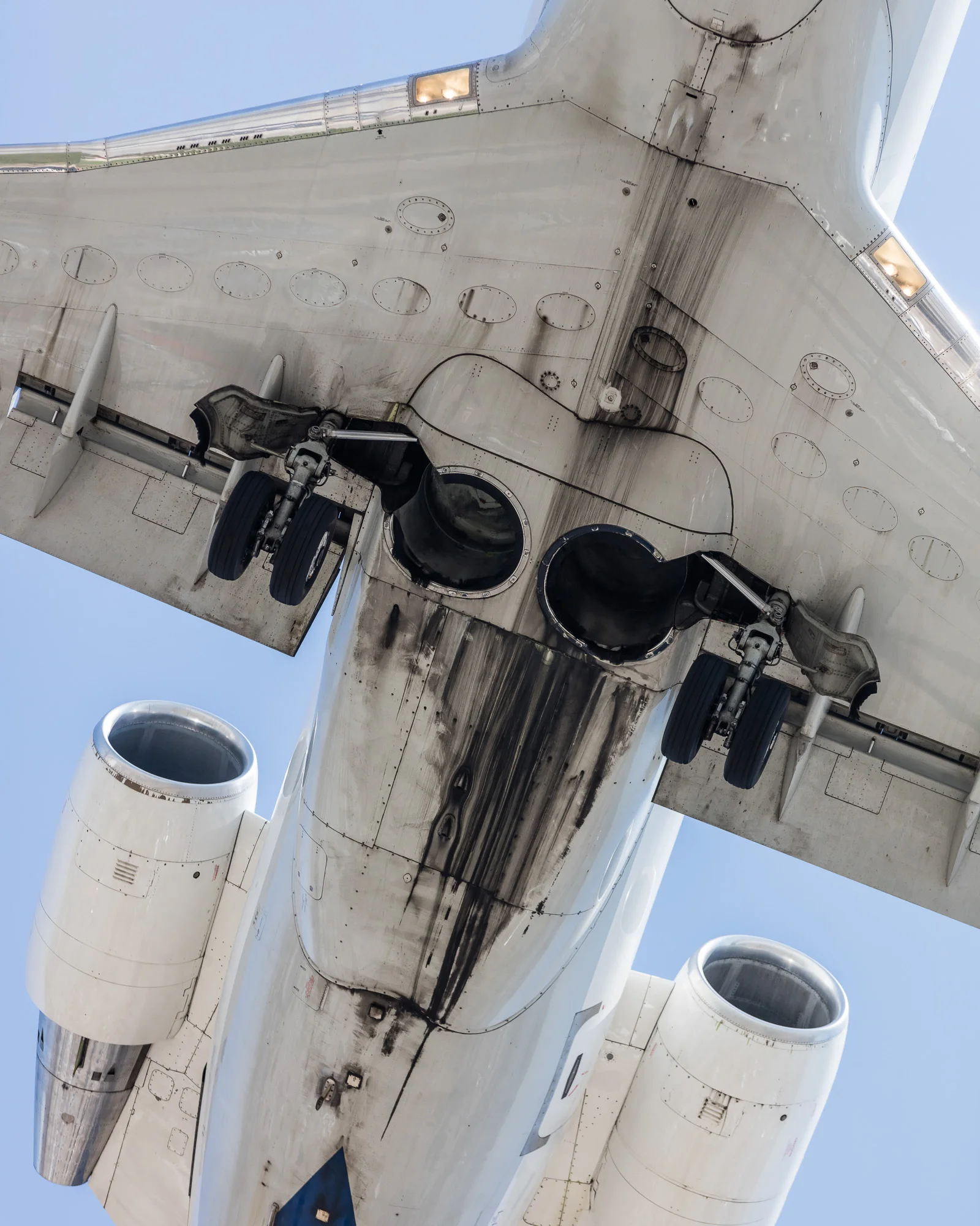 RJ 1.jpg