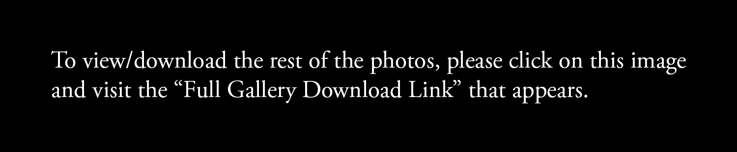   Full Gallery Download Link  