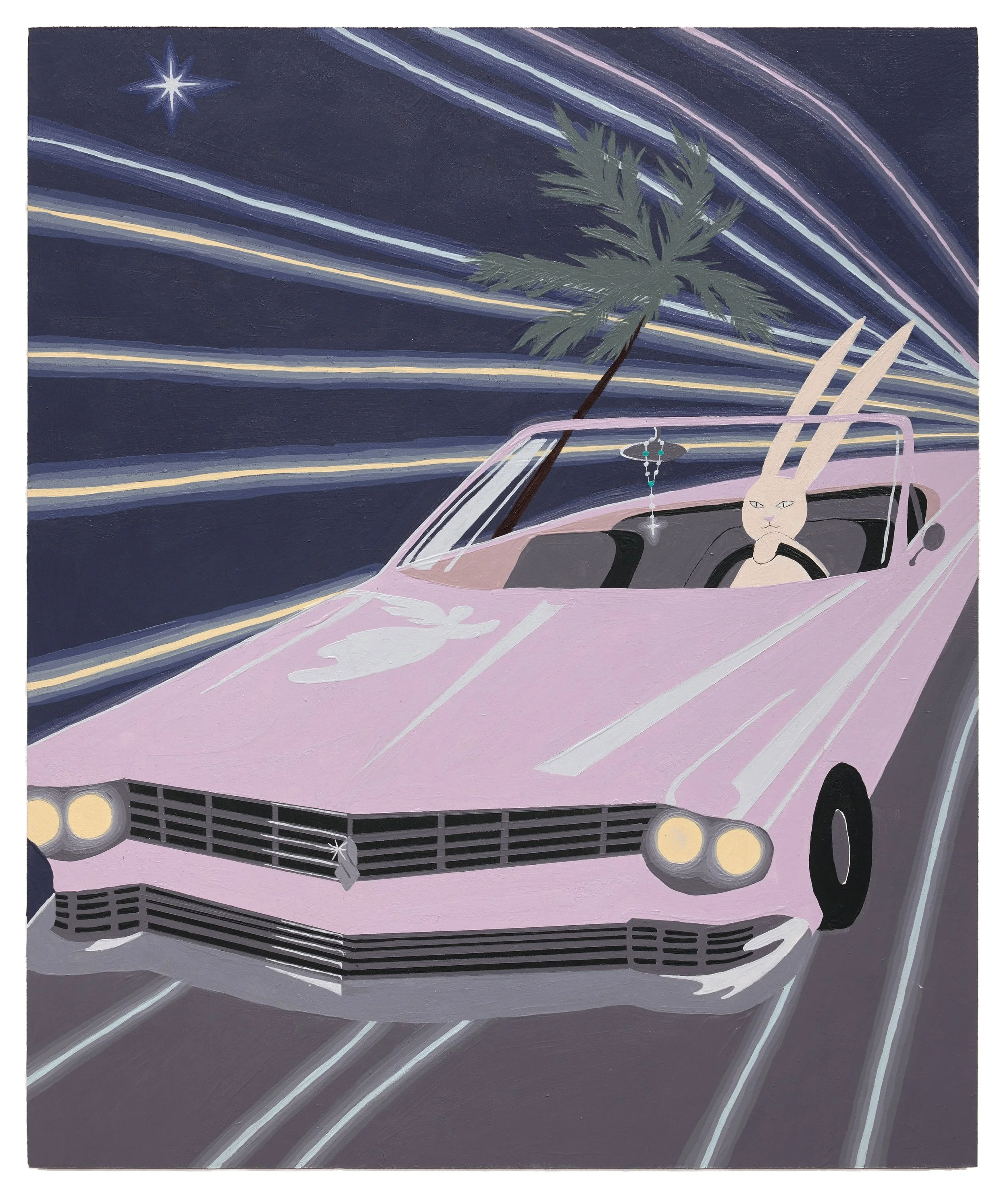 "night drive"