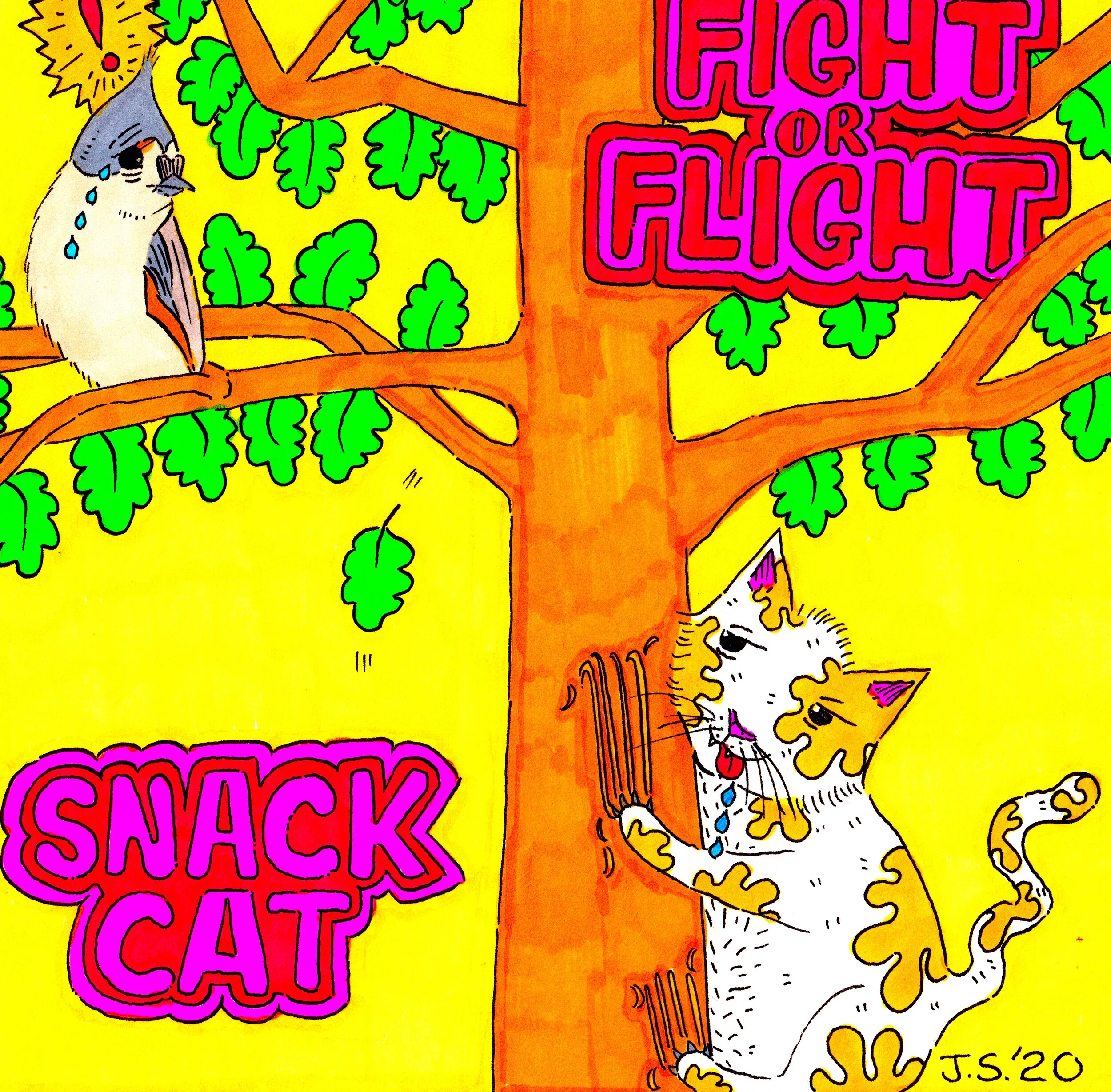 SNACK CAT FIGHT OR FLIGHT.jpeg