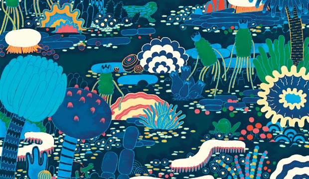  Gut Microbiota by Micah Lidberg via this article about our wonderful internal ecosystems