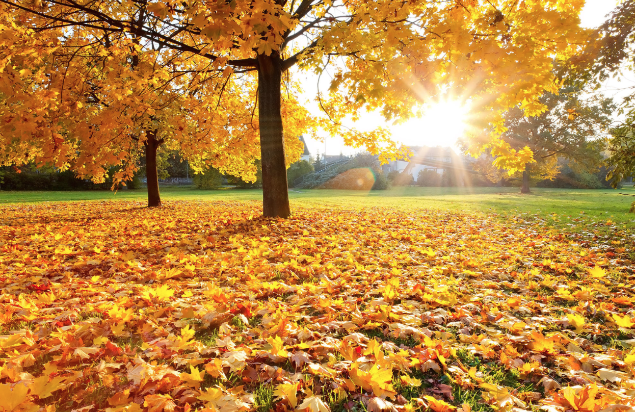 The Autumn Equinox occurred on September 21, 2018 at 7:55 pm. The full moon occurs on September 24 at 8:52 pm.