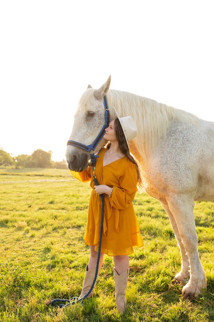 Senior horse portrait