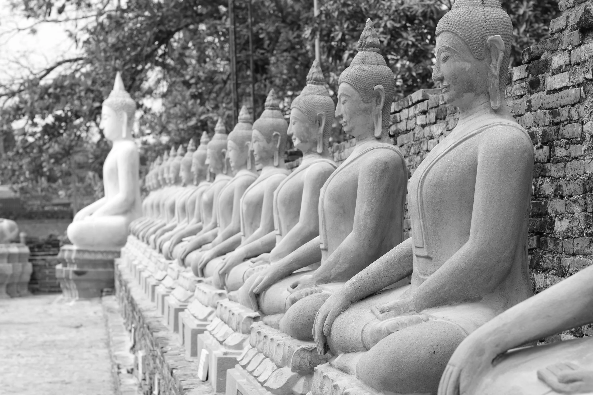 My 5 favorite books on meditation and Buddhism