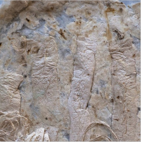 one example of multiple silk fiber testings undertaken September 2018 - examining textile possibilities