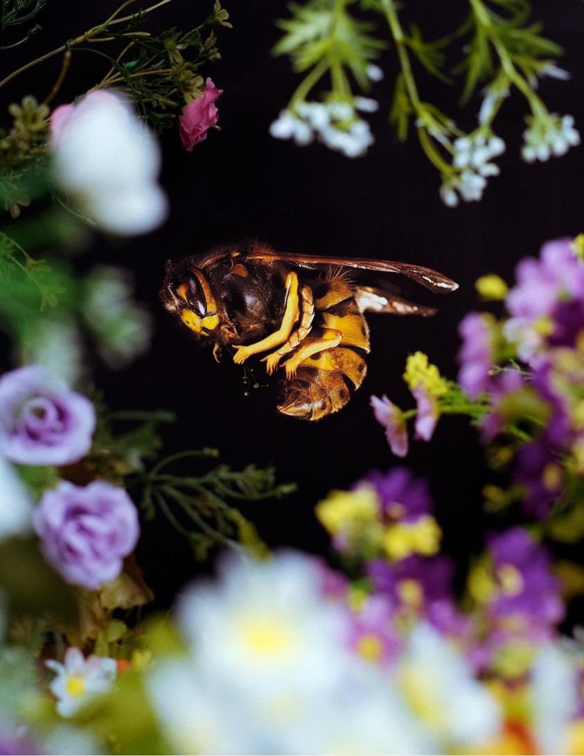 94B95879-B0FB-44FC-A89E-9A7066072F50 4.JPG