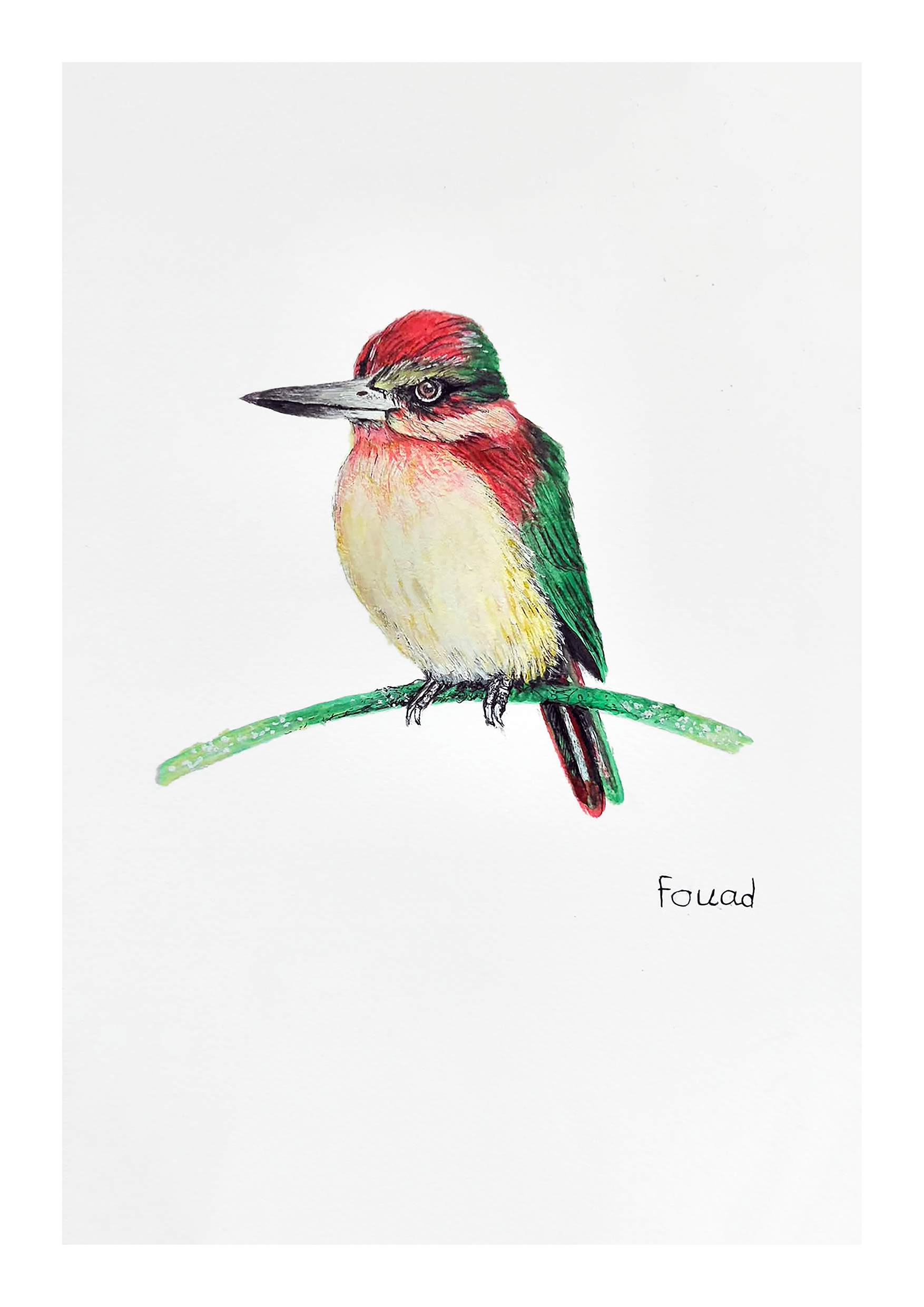 fouad - the bird of palestine and hope_MasterEdit_A5.png