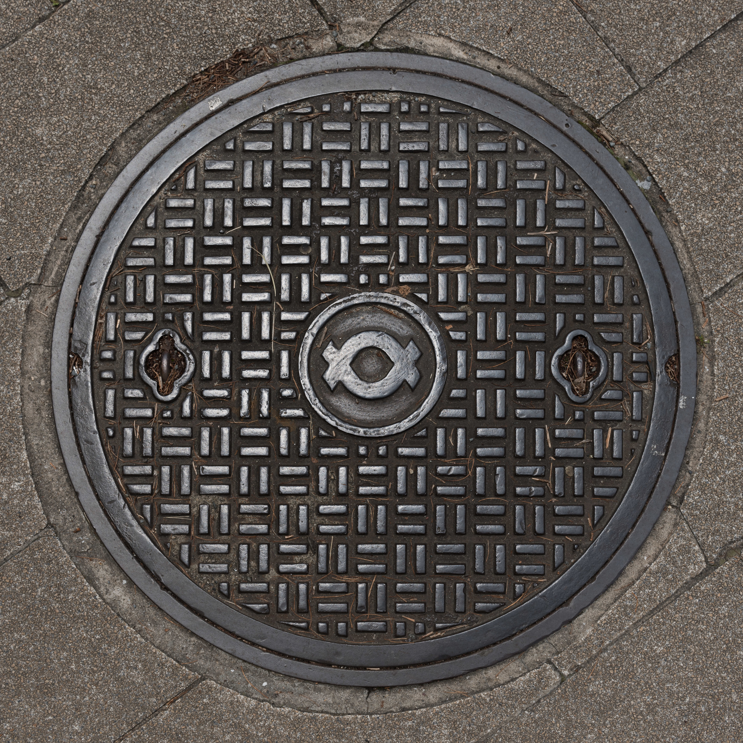 Japan_Manhole-6.jpg