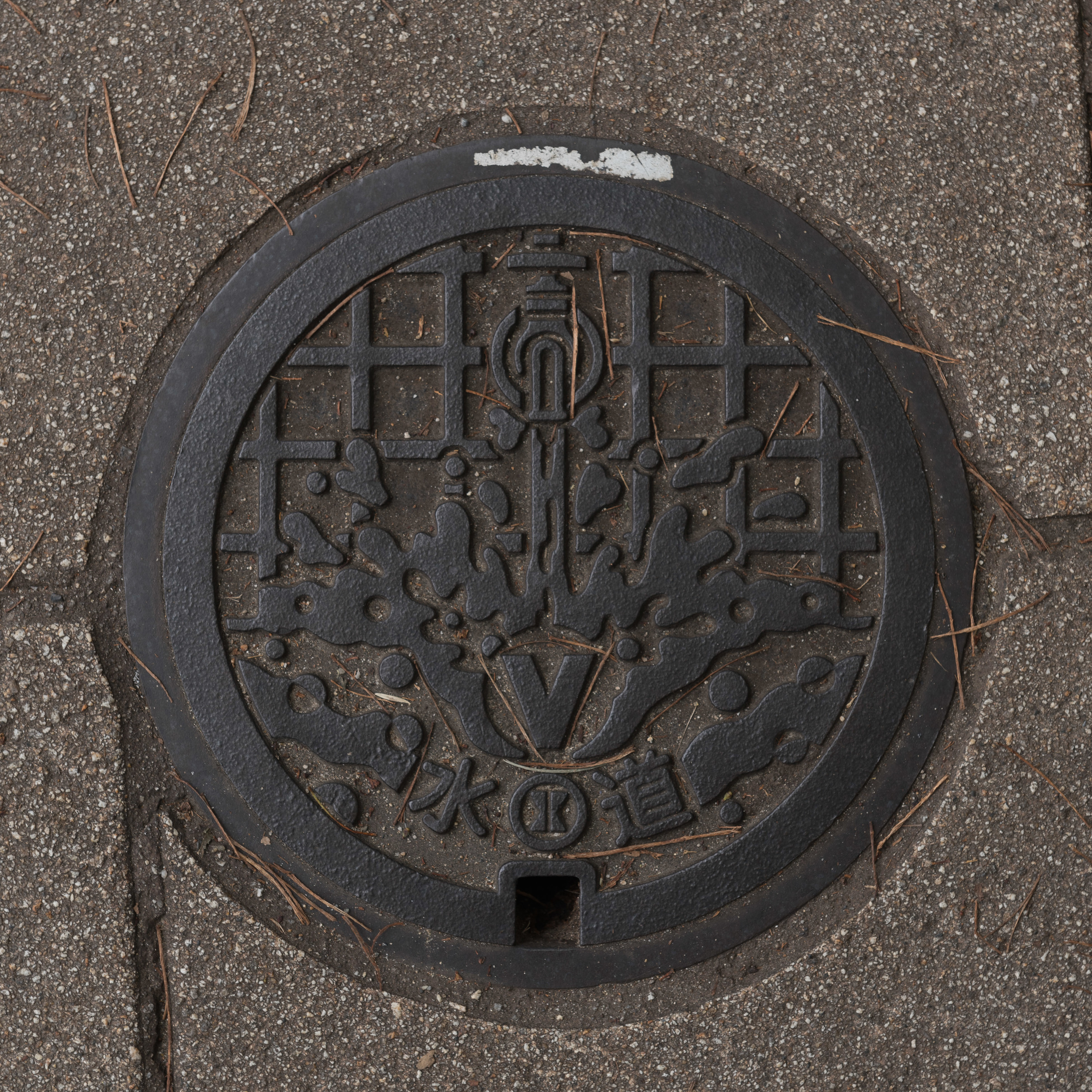 Japan_Manhole-7.jpg