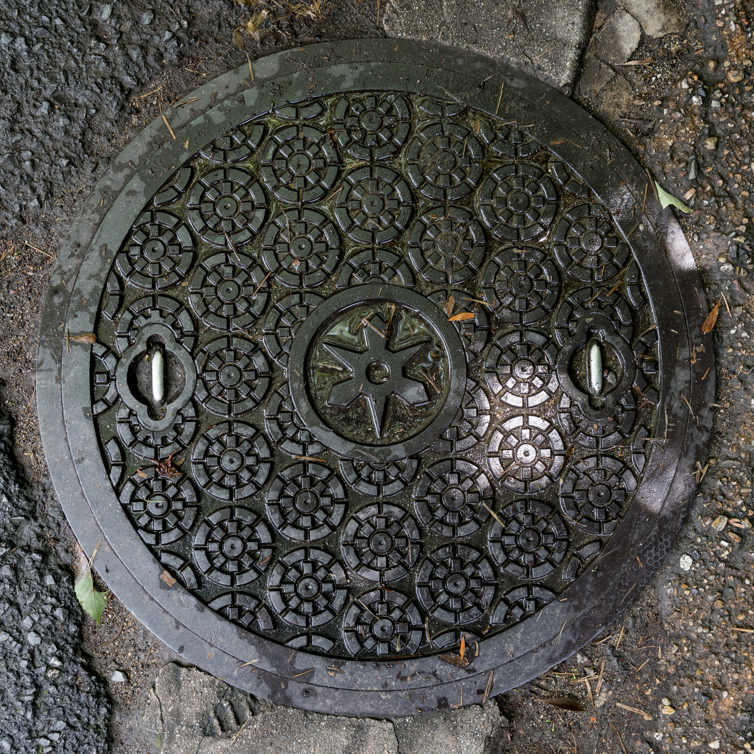 Japan_Manhole-17.jpg