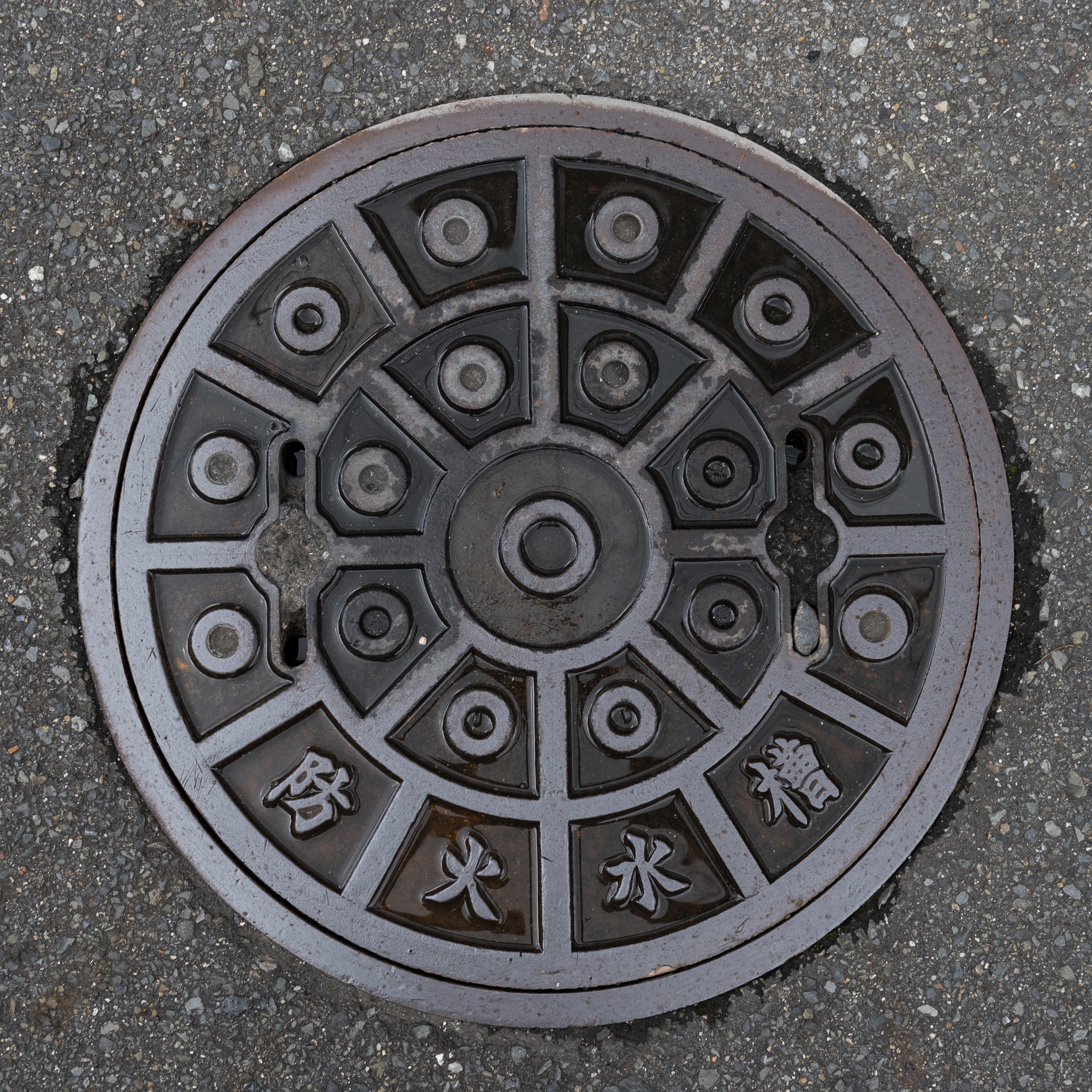 Japan_Manhole-18.jpg