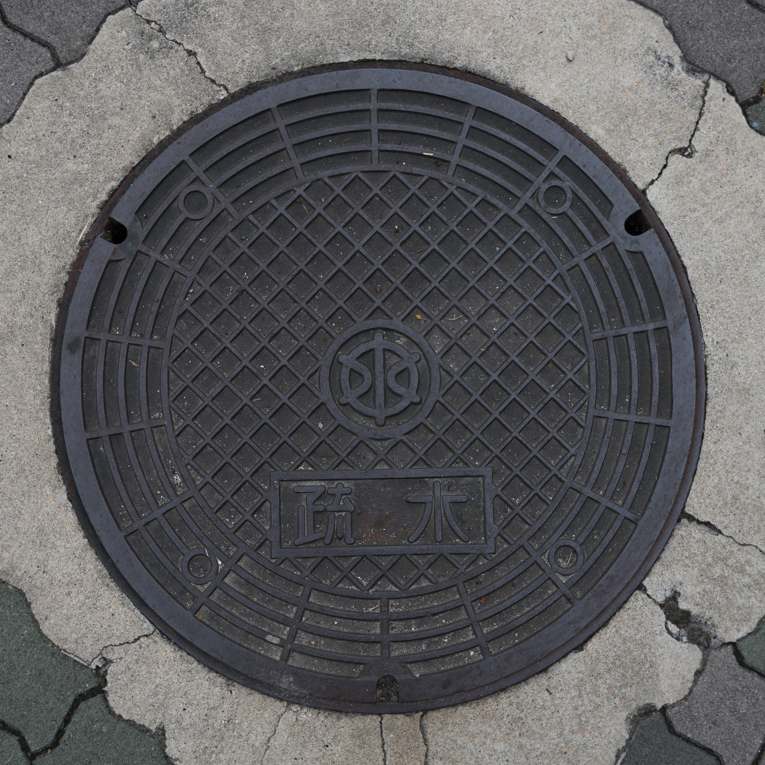 Japan_Manhole-20.jpg