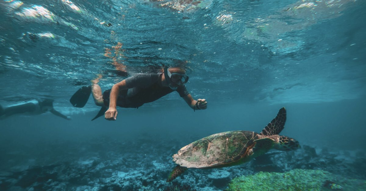 Nuestras Invitadas VIP