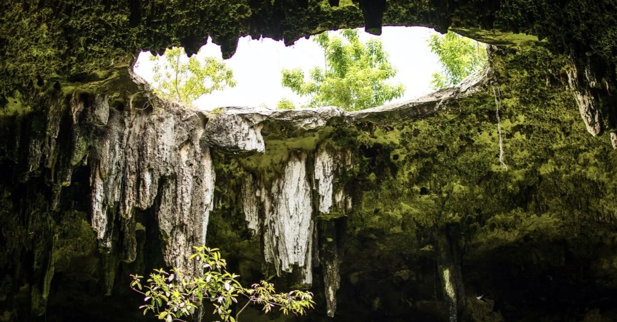 Servicios y Actividades