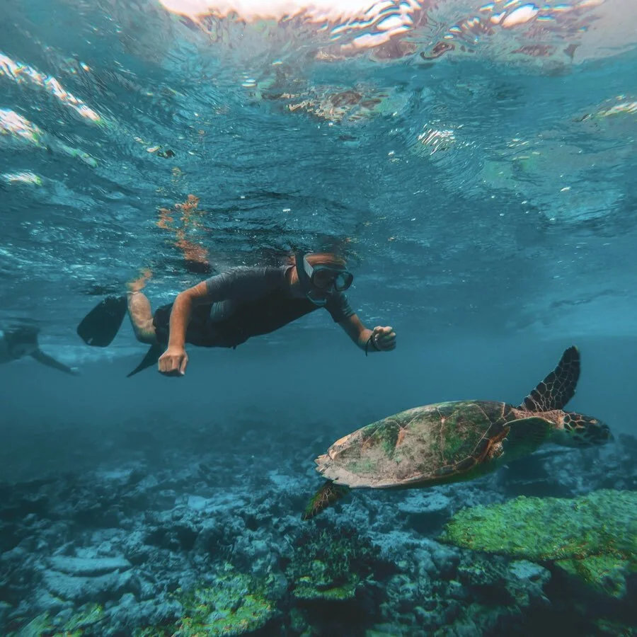 FOTOS GALERÍAS LVA home 2.004.jpeg