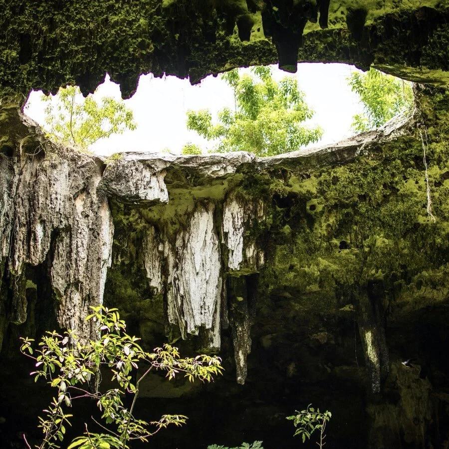 FOTOS GALERÍAS LVA home 2.006.jpeg