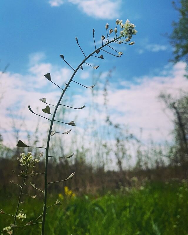 Good morning! It&rsquo;s May 3, and you are loved. #youareloved #grateful #spring