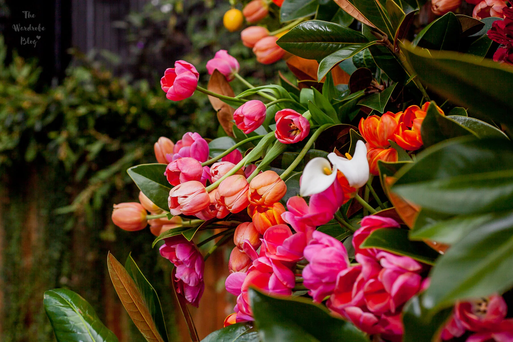 Fresh tulips, lilies and flowers creating a ‘flower market’ feel at the Maggie Marilyn Show 2019.