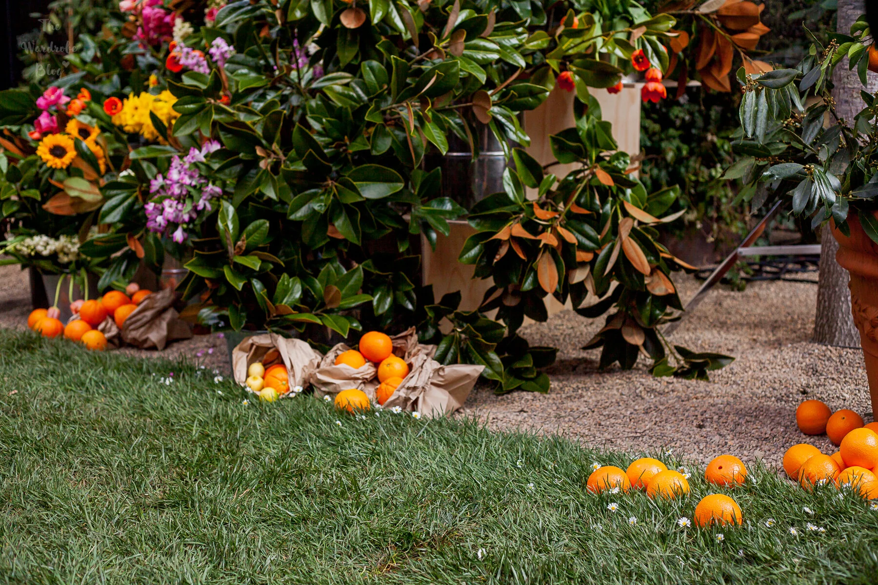 Grass for the catwalk, complete with daisies. Oranges and lemons in brown paper bags decorate the runway.