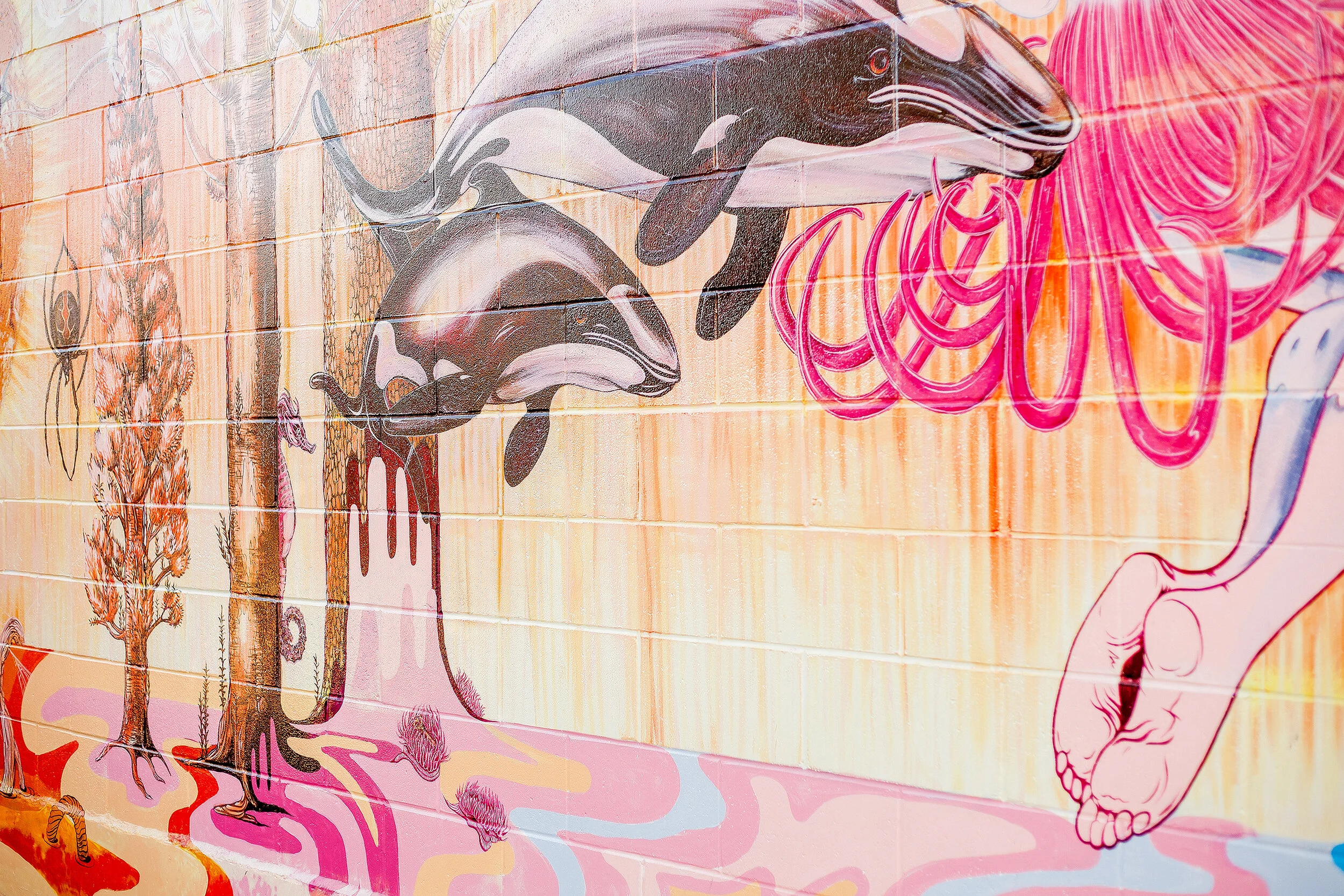 New-Zealand-Erin-Forsyth-Mural-Silo-Park-Backdrop-Auckland