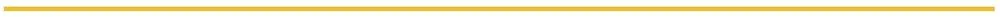 large-Gold line.jpg