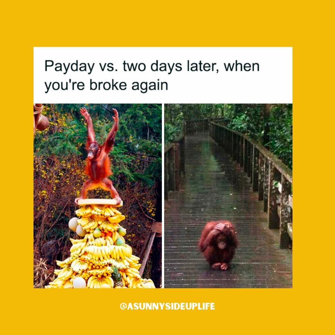 This used to be us with everything. Now it's just us with the restaurant budget. 🍌🐒