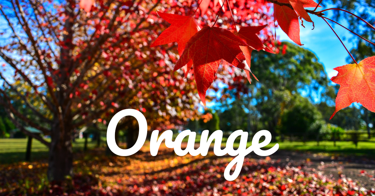 Orange-Rt.png