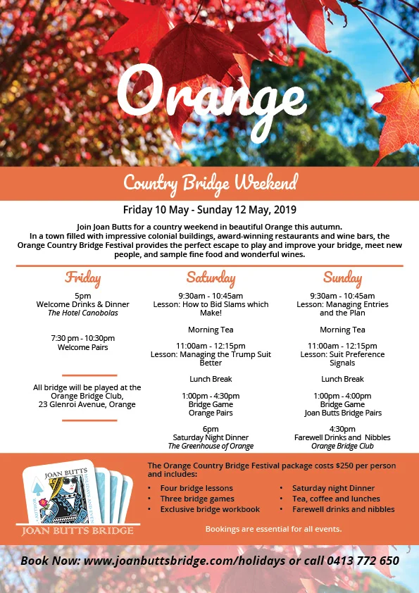 Orange Flyer.jpg