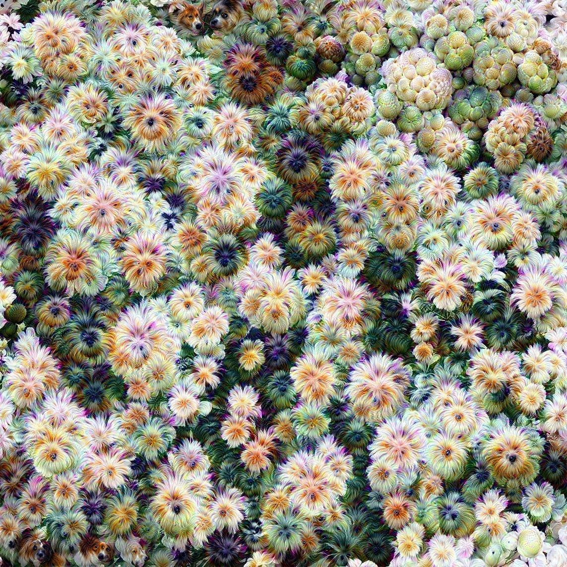 Flower Puffs