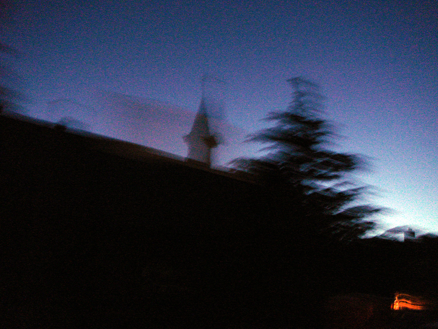 Tower and tree