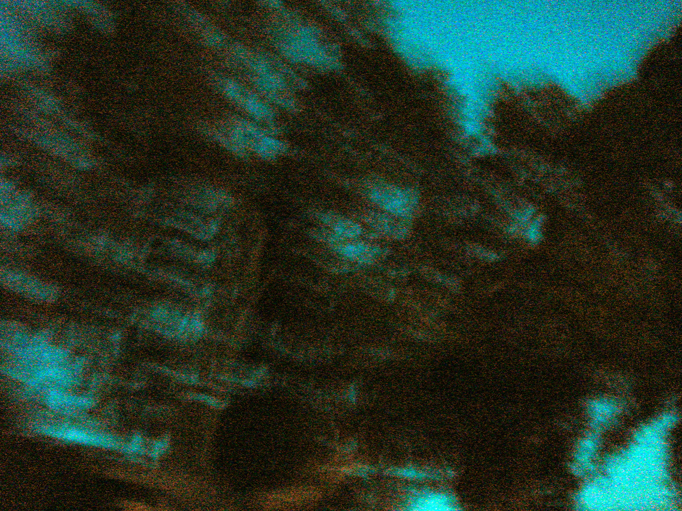 Zoom tree cyan