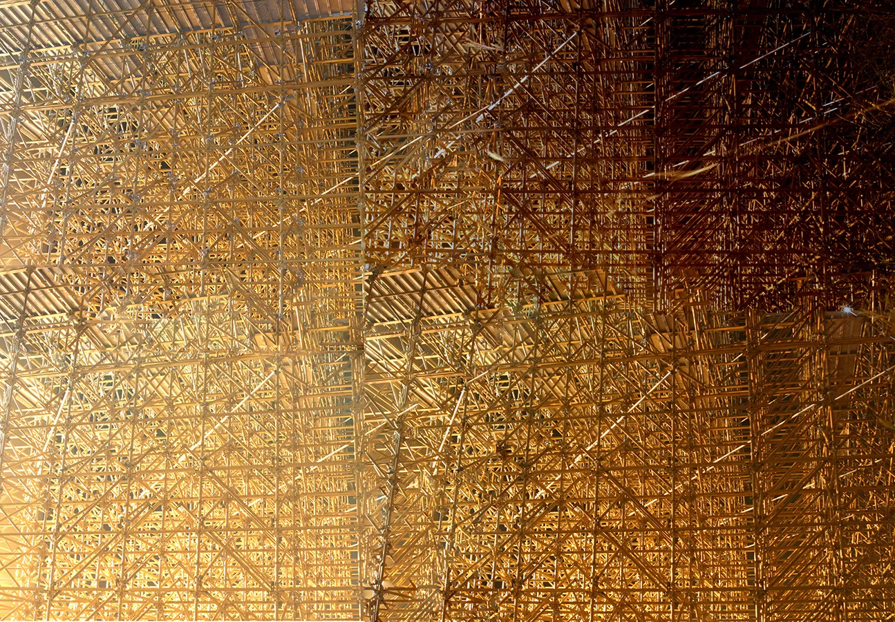 Trellis