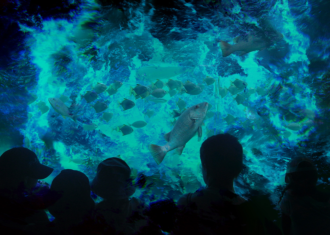 AquariumSm.jpg