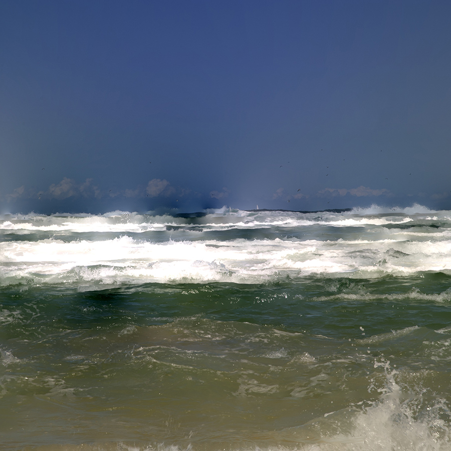 Seascape2012-sm.jpg