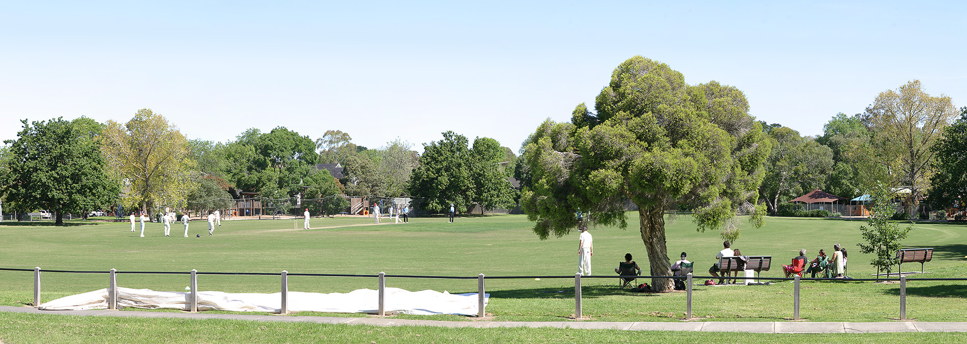 The Saturday Cricketers