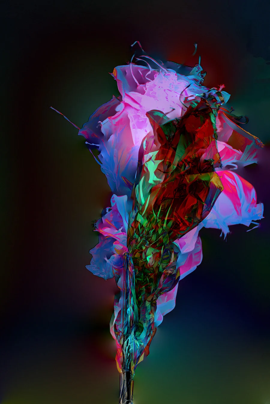 Black Poppy