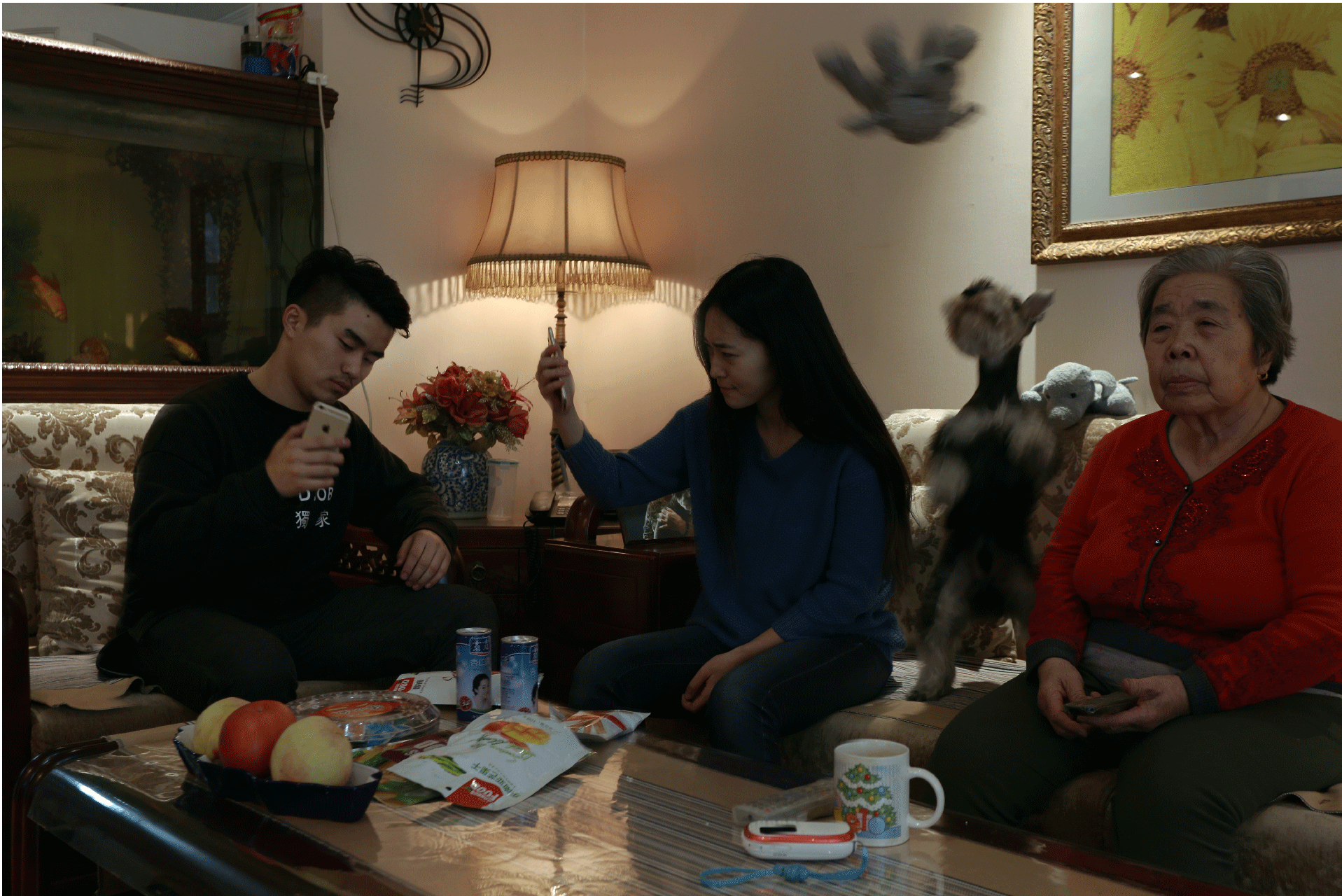 At home.gif