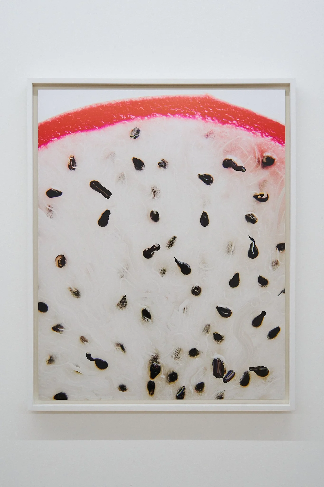 Dragon Fruit's Sperms (2026)