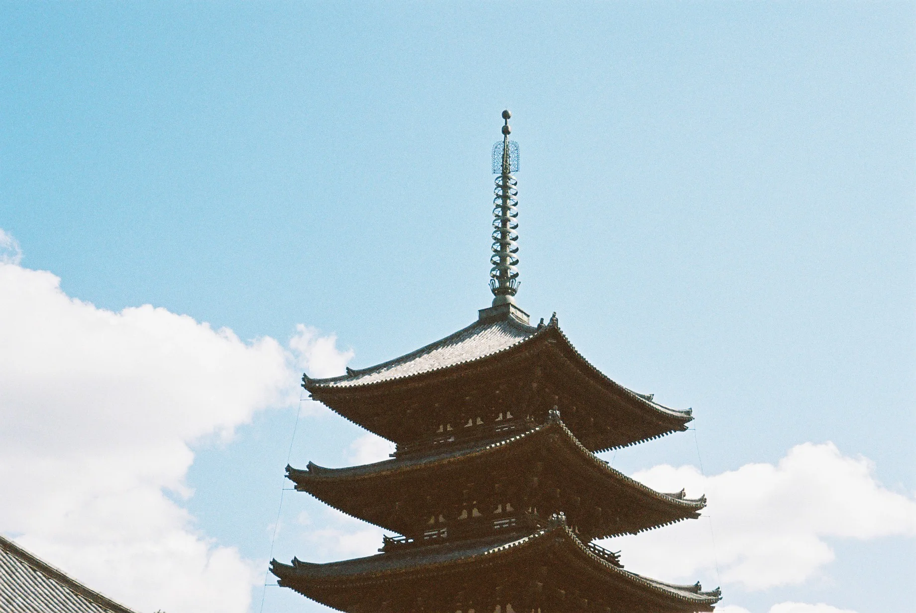 Nara Park, Japan