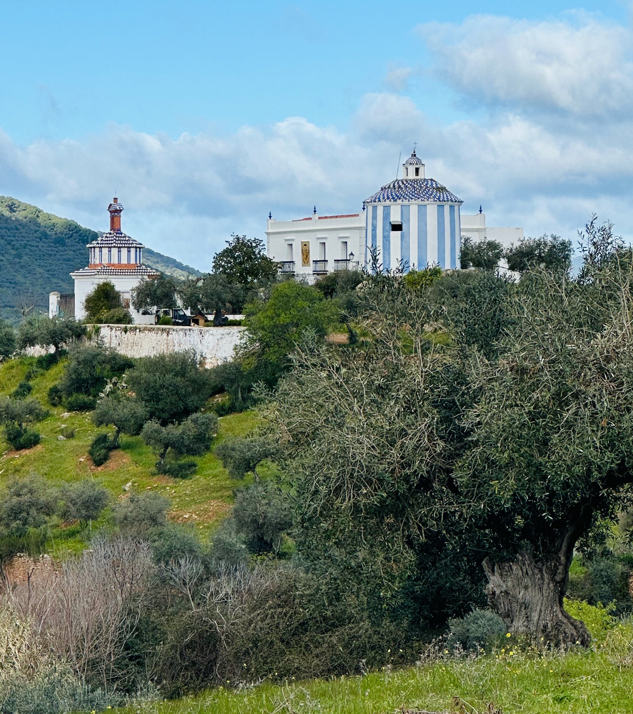 Paloma Casa - Zafra